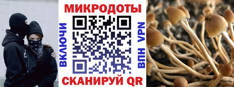дарнет шоп  hydra сайт  Псилоцибиновые грибы GOLDEN TEACHER  Канск 